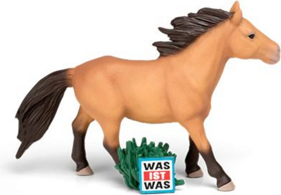 TONIES Tonie Hörfigur - Was Ist Was - Wunderbare Pferde/Reitvolk Mongolen, 1 Stk 2 TONIES Tonie Hörfigur - Was Ist Was - Wunderbare Pferde/Reitvolk Mongolen, 1 Stk – Bild 2